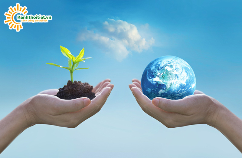 Nguyên nhân chính dẫn tới quy luật địa ô