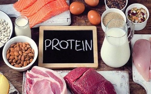Protein là nguồn dinh dưỡng thiết yếu và vô cùng quan trọng đối với cơ thể.