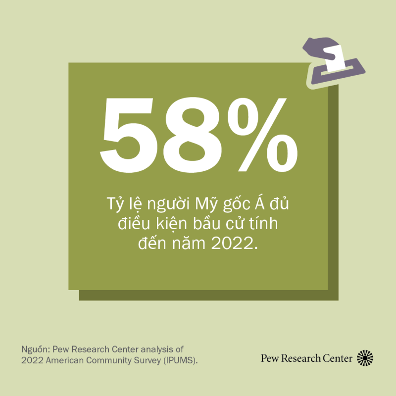 Người Mỹ Gốc Á: 
Tổng quan nhanh về dữ liệu khảo sát