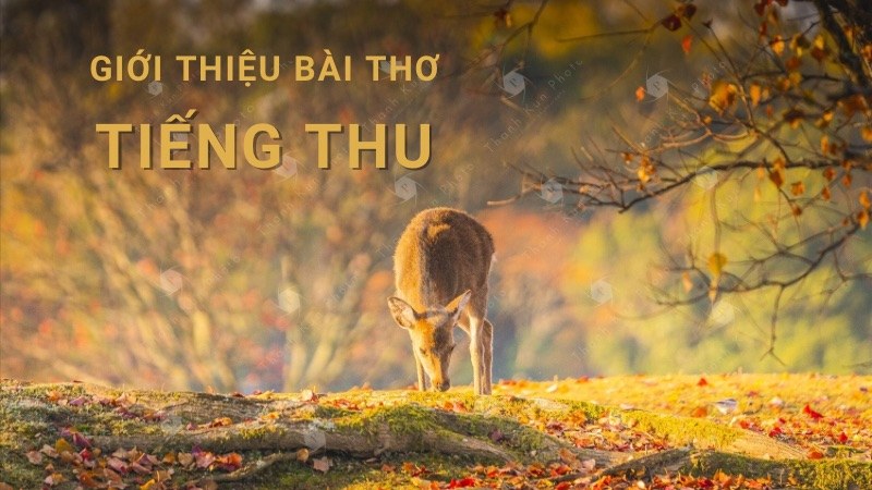 Tiếng Thu (Lưu Trọng Lư): Tác giả + tác phẩm, nội dung chính