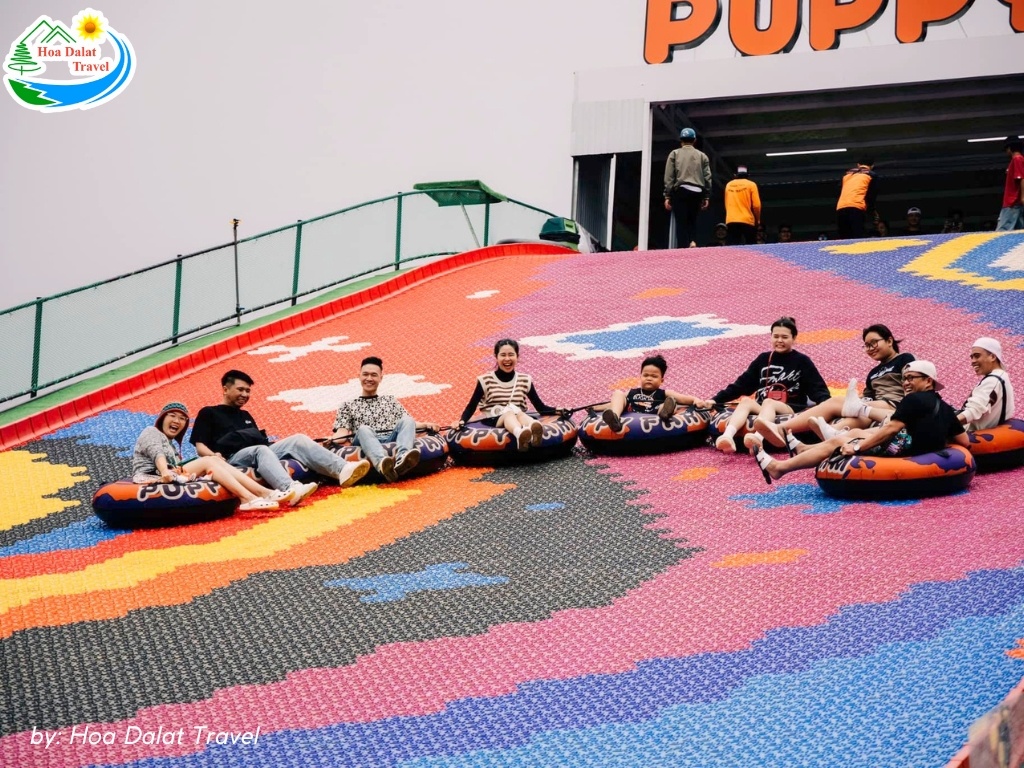 Tương tác với các loài động vật khác ở Puppy Farm như ngựa lùn