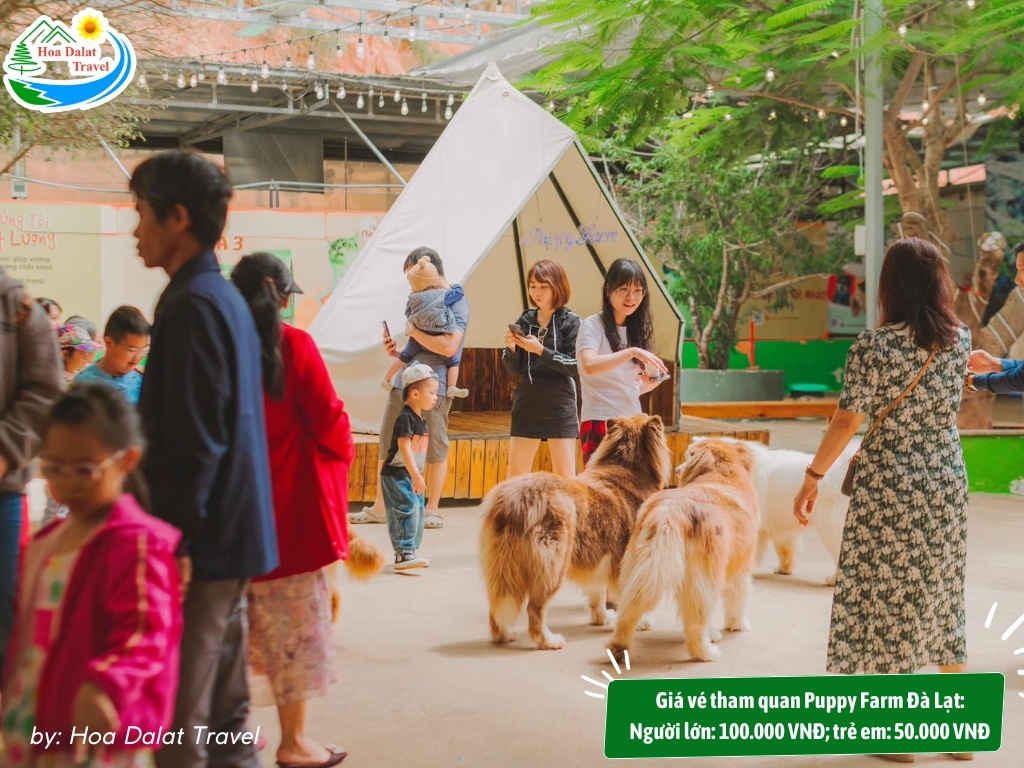Giá vé tham quan Puppy Farm Đà Lạt: