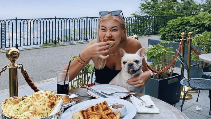 Cach cham soc cho con meo con an