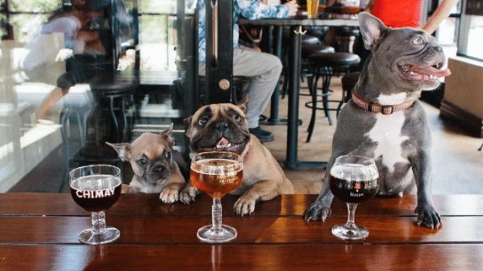 Quan an dan thu cung di choi