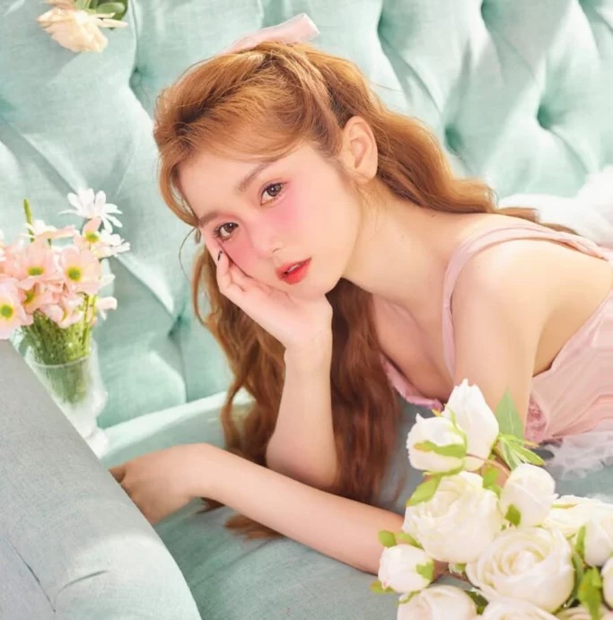 Concept hoa trên sofa