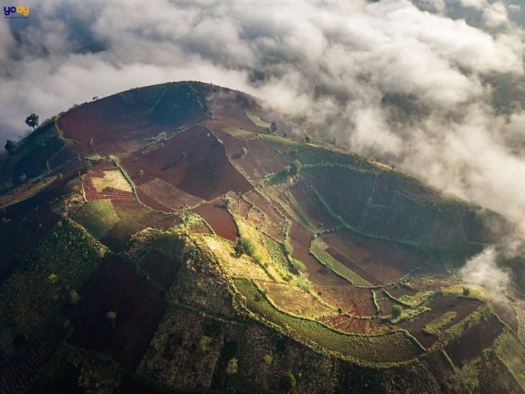 Tuổi Kỷ Mão 1999 mệnh gì?