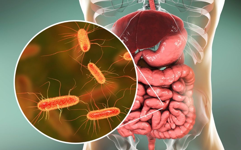 Sốt nhiễm khuẩn ở người lớn​: Nguyên nhân, triệu chứng và cách điều trị