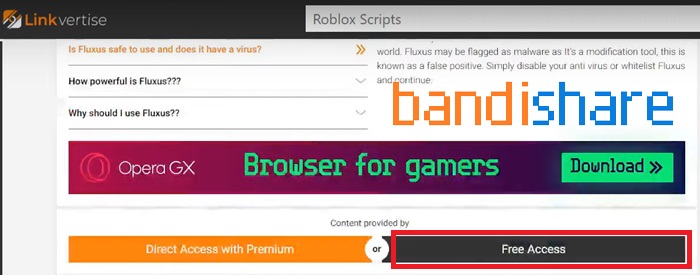 cach-cai-blox-fruit-bang-fluxus-b5