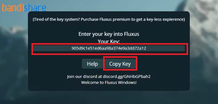 cach-cai-blox-fruit-bang-fluxus-b6