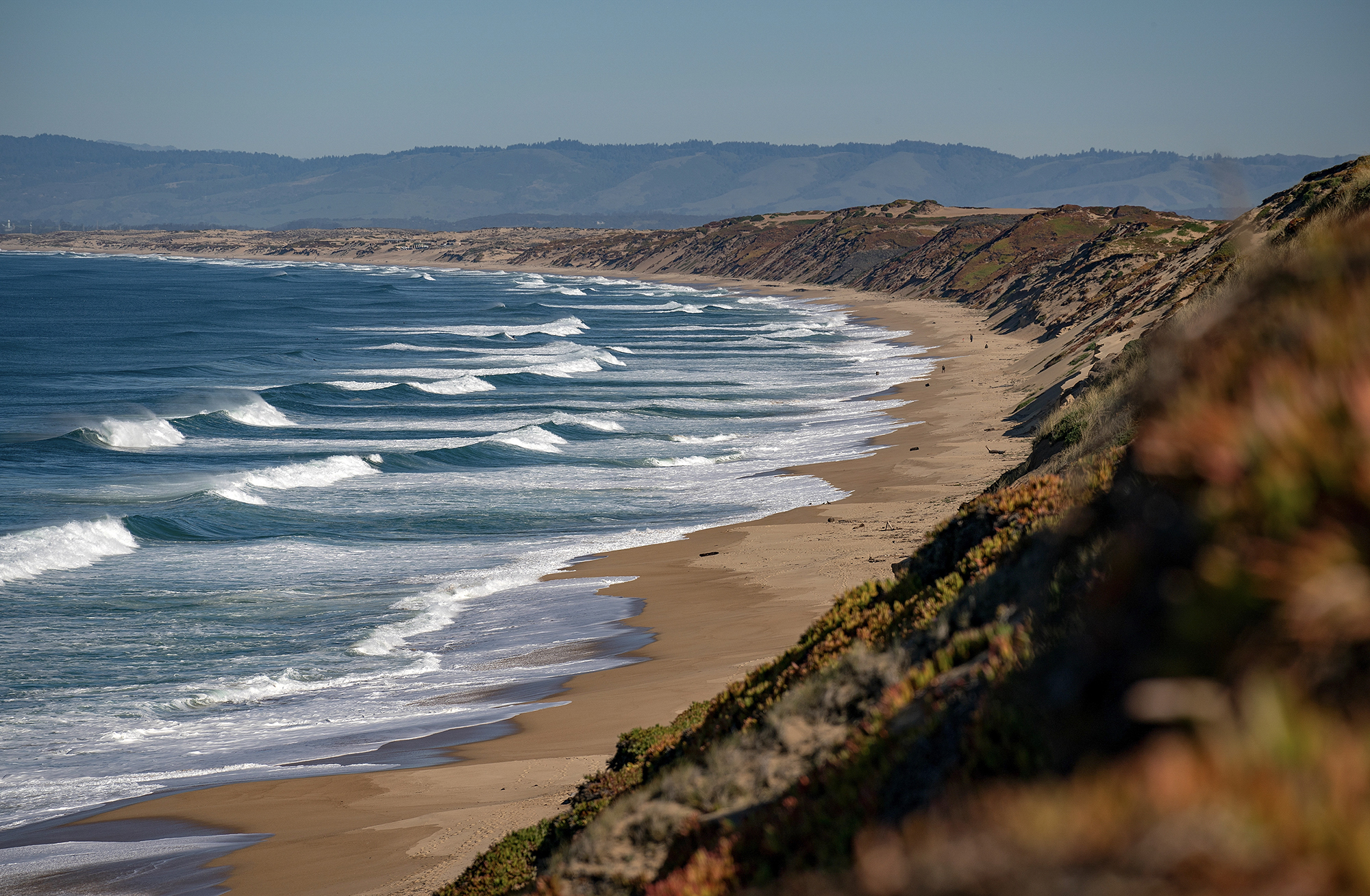 Fort Ord Dunes State Park in Marina on February 11, 2020. Photo by LiPo Ching, Bay Area News Group