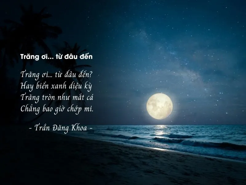 voh-tho-tran-dang-khoa-1