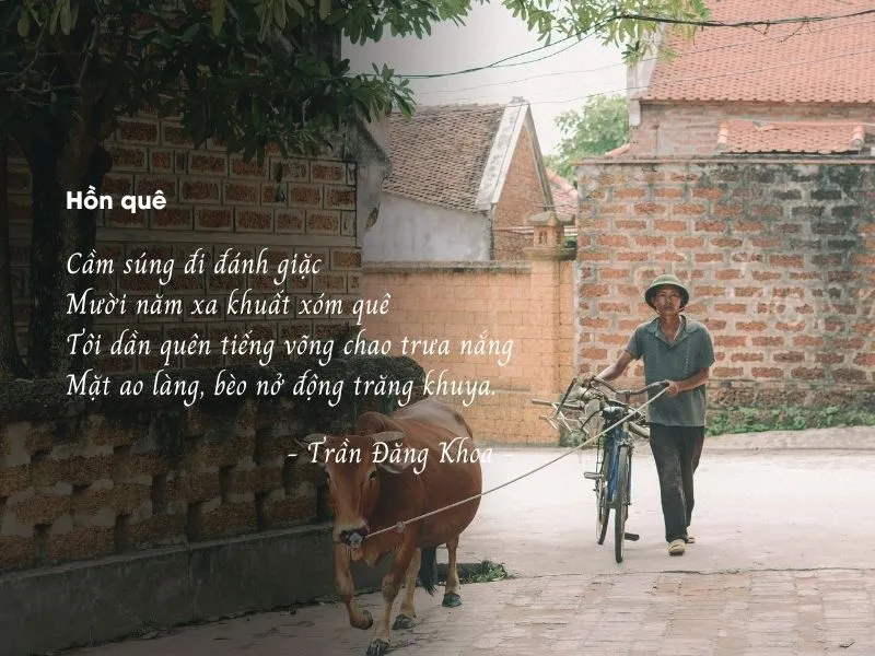 voh-tho-tran-dang-khoa-3