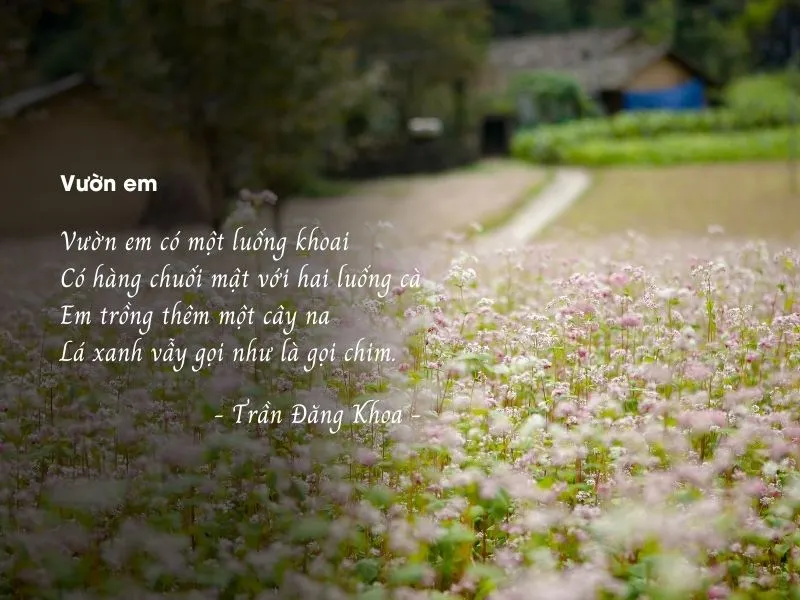 voh-tho-tran-dang-khoa-5