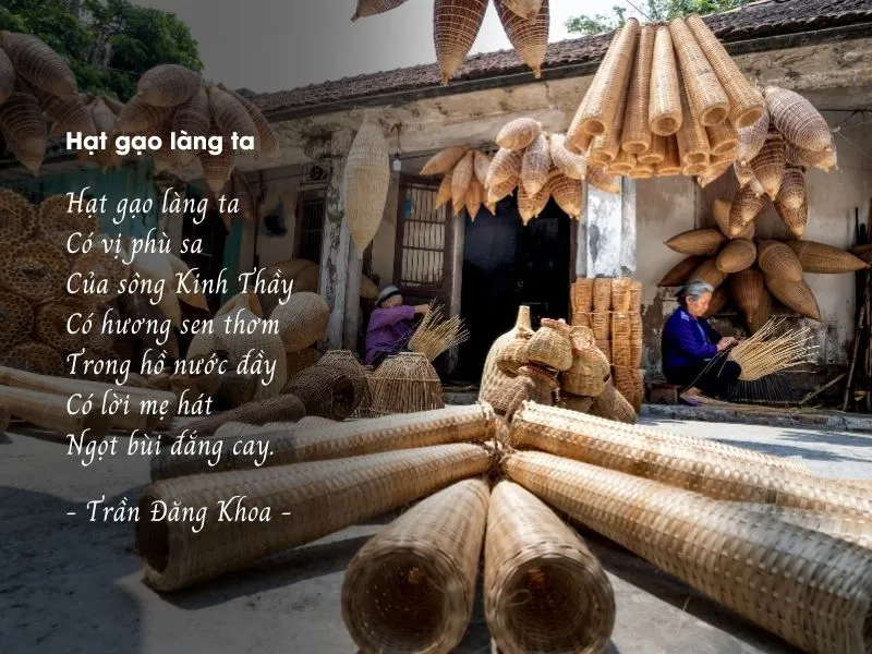 voh-tho-tran-dang-khoa-7