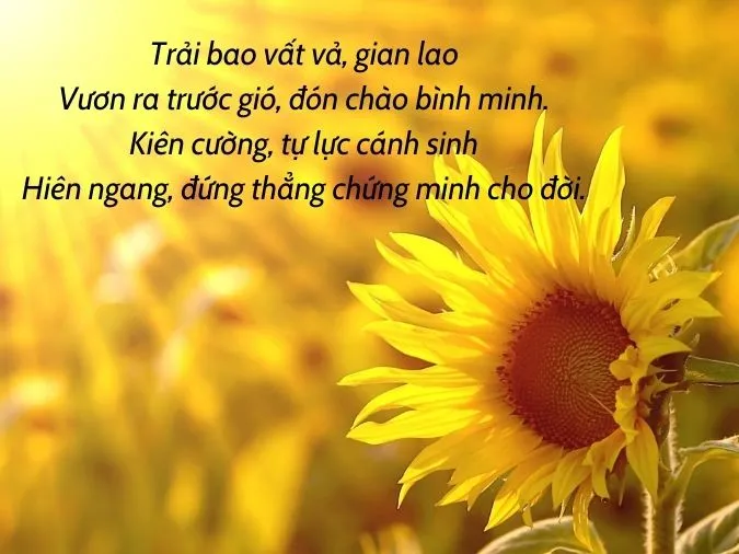 Tuyển tập bài thơ về sự cố gắng giúp bạn tạo động lực 4