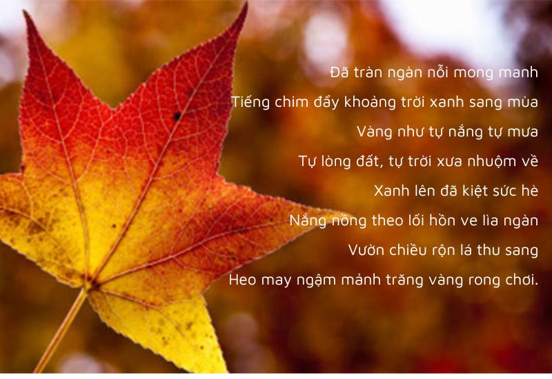 Tóm tắt, bố cục Thu sang (Đỗ Trọng Khơi) – Ngữ văn 7 tập 1 Chân trời sáng tạo