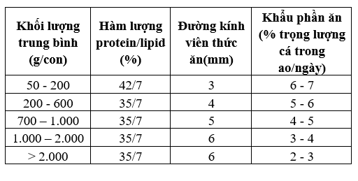 Lưu ý khi nuôi cá trắm đen bằng thức ăn công nghiệp