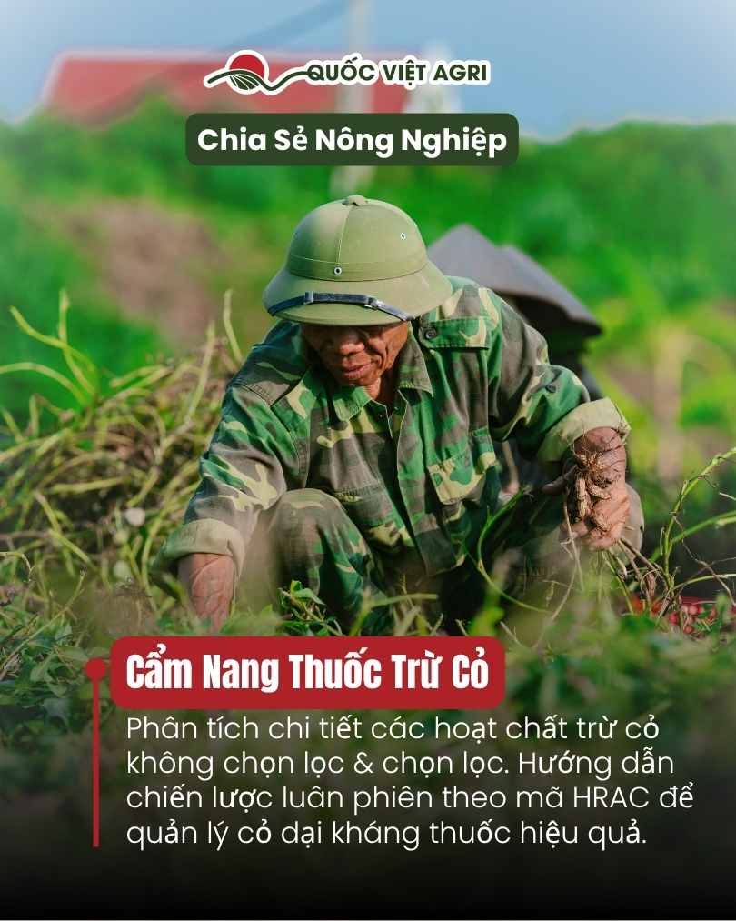 Ảnh bìa của Quốc Việt Agri cho cẩm nang toàn diện về thuốc trừ cỏ, với hình ảnh bàn tay nông dân đang nhổ một cây cỏ dại khỏi đất.