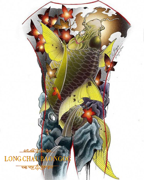 hinh xam ca chep hoa rong