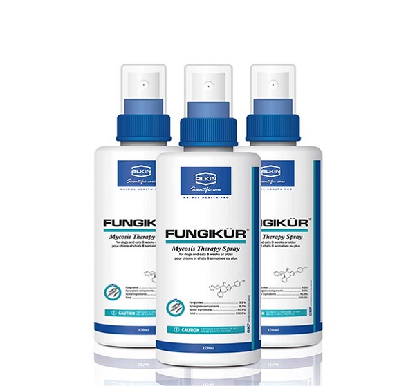 chó bị nấm vảy gầu