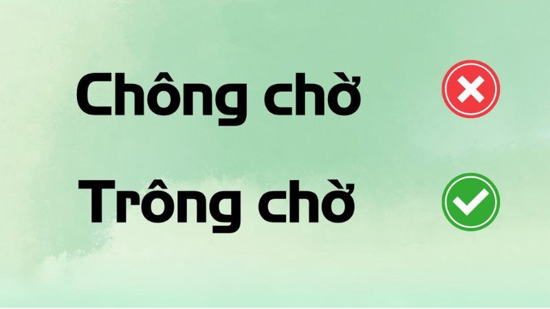 Trông chờ hay chông chờ là đúng chính tả?