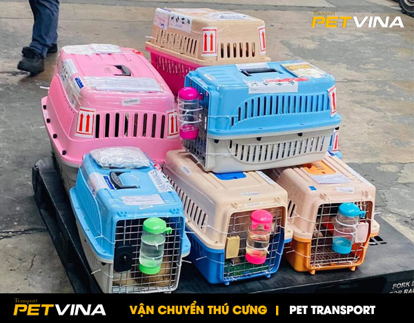 Dịch vụ vận chuyển chó mèo nội địa PetVina