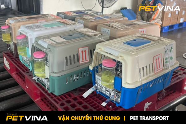 Giá vận chuyển Thú cưng trong nước