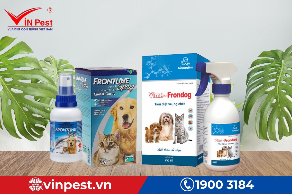 Các cách diệt ve chó tận gốc trong nhà