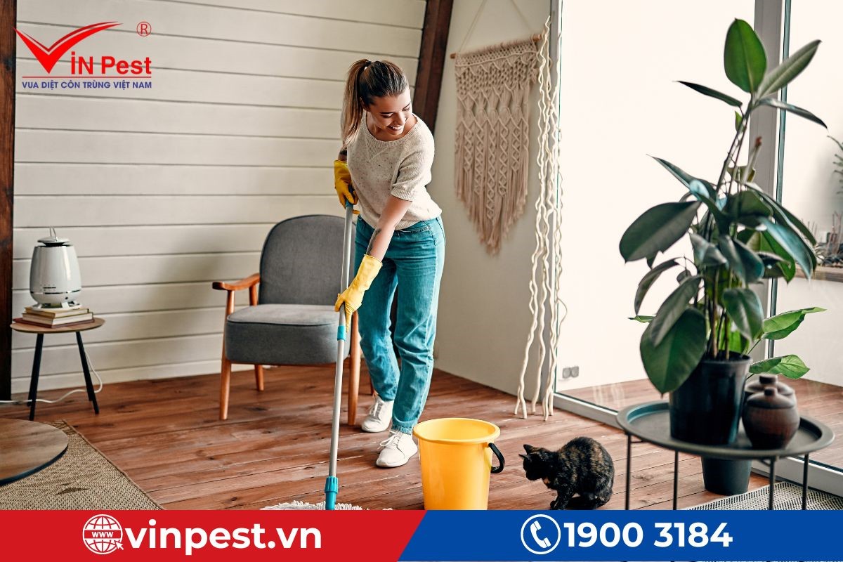 Các cách diệt ve chó tận gốc trong nhà