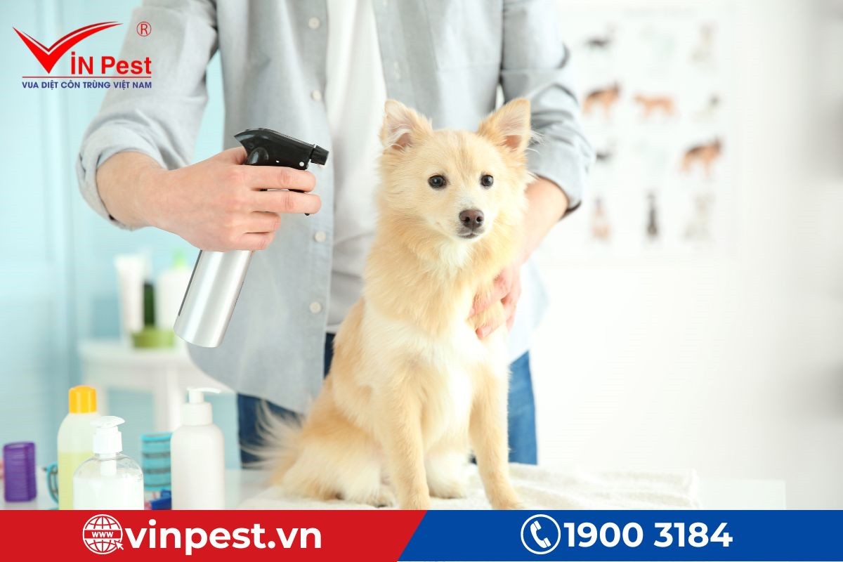 Biện pháp diệt ve chó tại nhà cho vật nuôi