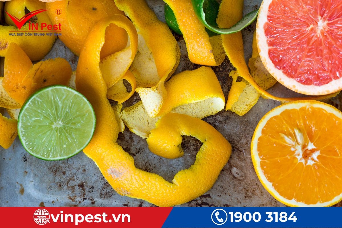 15 Cách Diệt Ve Chó Dứt Điểm, An Toàn Cho Gia Đình Và Vật Nuôi