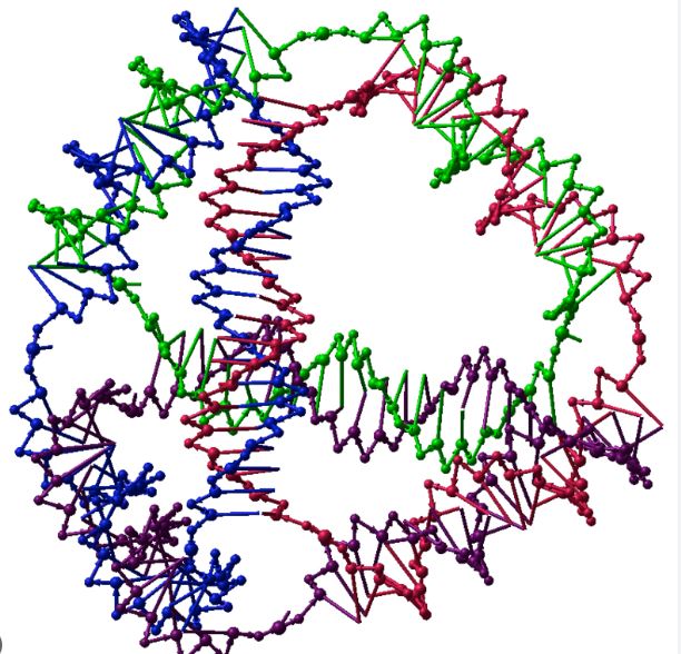 phân tích adn tính tuổi gỗ