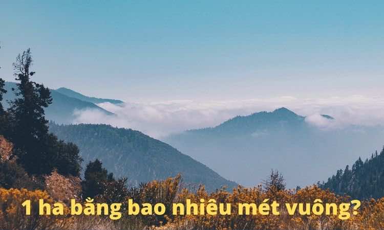 1 ha bằng bao nhiêu mét vuông? Công thức quy đổi dễ tính nhất.