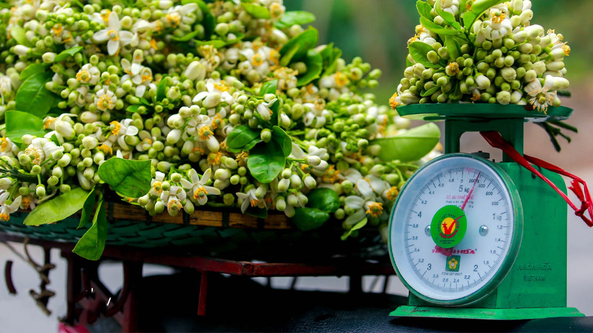 1kg bằng bao nhiêu lạng