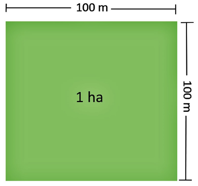 Công thức tính 1km2 bằng bao nhiêu ha? 1km2 = bao nhiêu m2