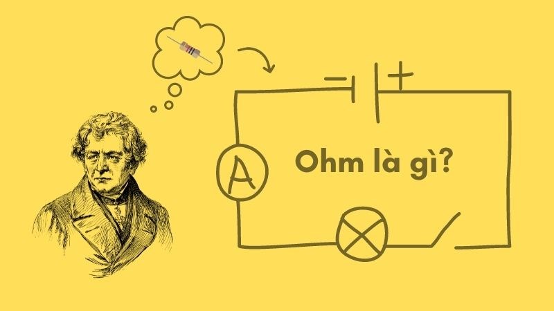 Đơn vị Ôm là gì? Cách quy đổi đơn vị Ôm