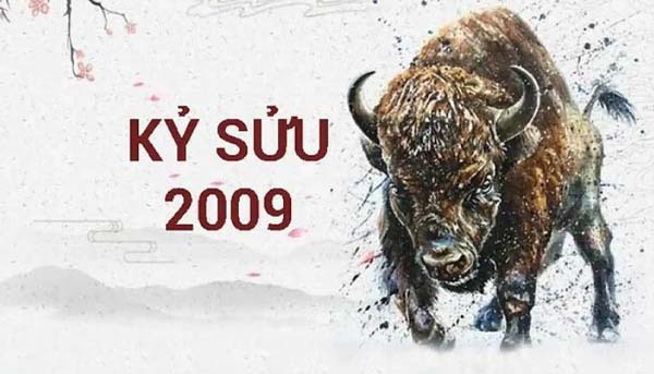 2k9 bao nhiêu tuổi và là tuổi con gì