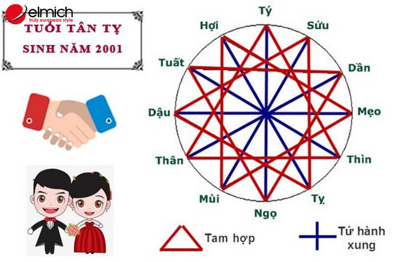 Tuổi Tân Tỵ 2001 mệnh gì – hợp tuổi gì?