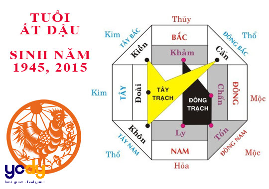 2005 hợp hướng nào?