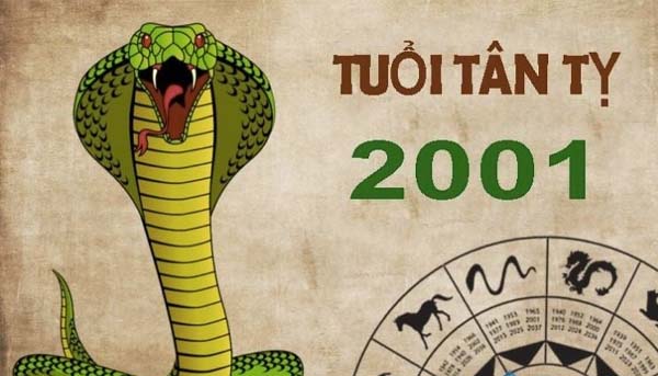 thế hệ 2k1 bao nhiêu tuổi