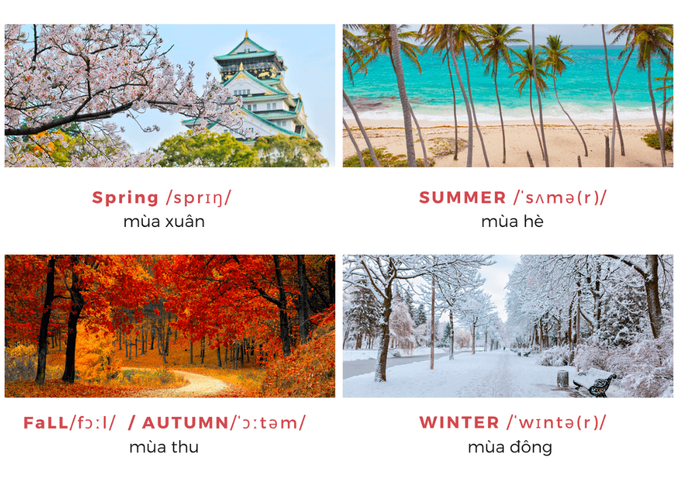 Bài viết/nói về 4 mùa trong tiếng Anh