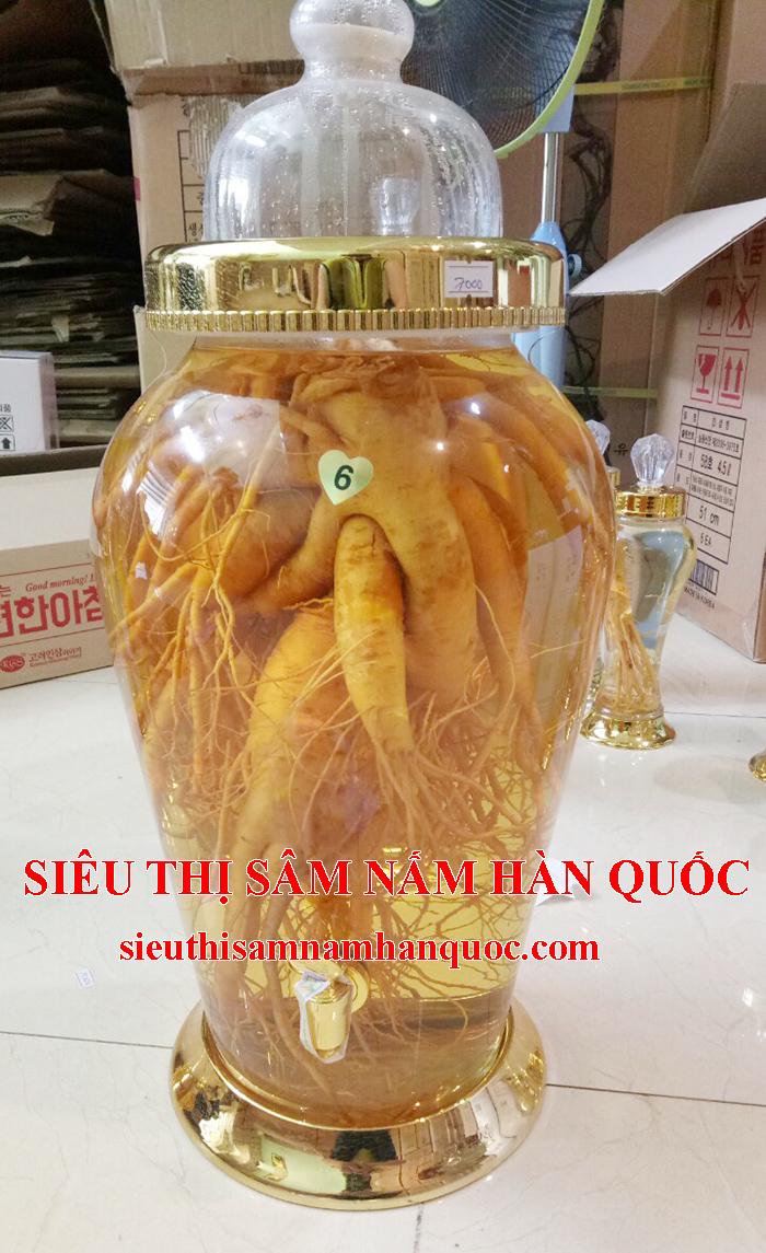 nhân sâm tươi Hàn Quốc loại 5 củ ngâm rượu