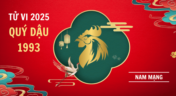 Tử vi 2025 Ất Tỵ tuổi Quý Dậu 1993 nam mạng