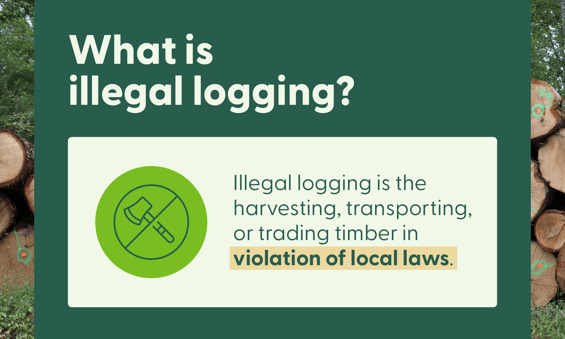 Graphic of a text box over an image of stacked logs explaining what illegal logging is.
