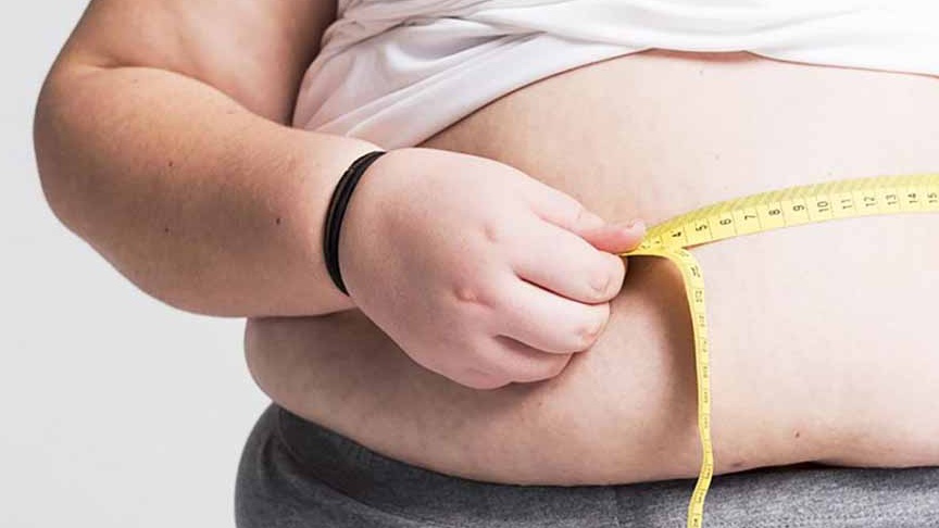 Amilopectin có phải là nguyên nhân gây béo phì và các bệnh tim mạch?