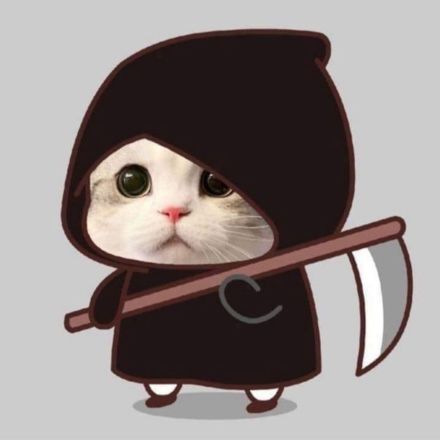 Ảnh đại diện hình mèo