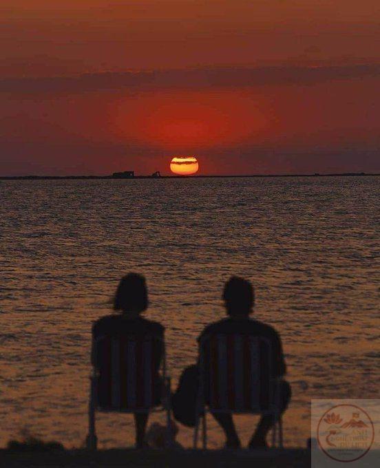 Đủ để cảm nhận yêu thương vẫn luôn hiện hữu quanh ta từng ngày