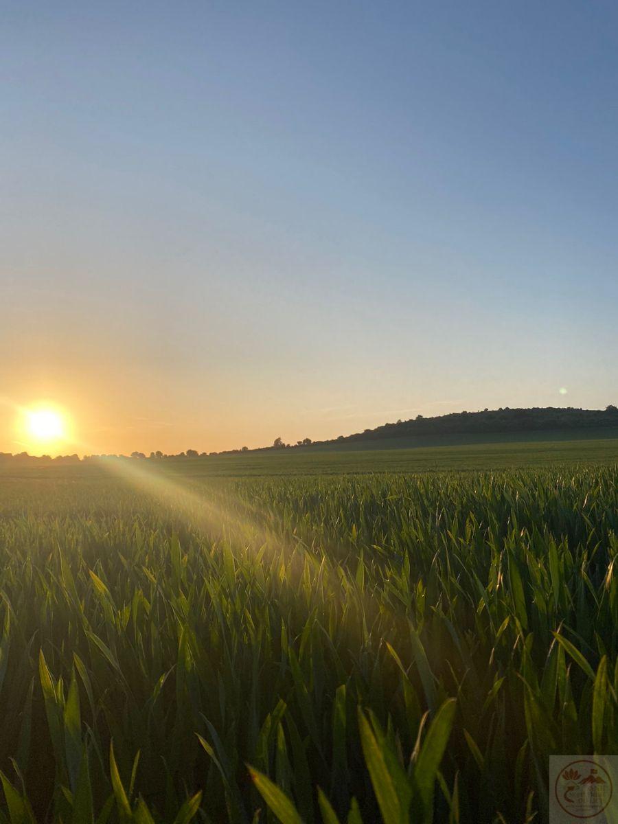 Người ta thường tìm thấy sự bình yên trong những ngày xưa cũ giản dị