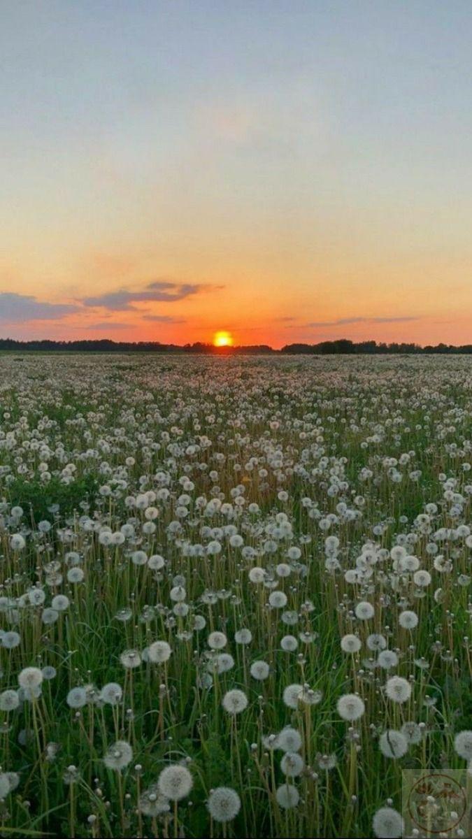 Chẳng gì bằng sự bình dị đã đi cùng ta trong suốt những năm dài