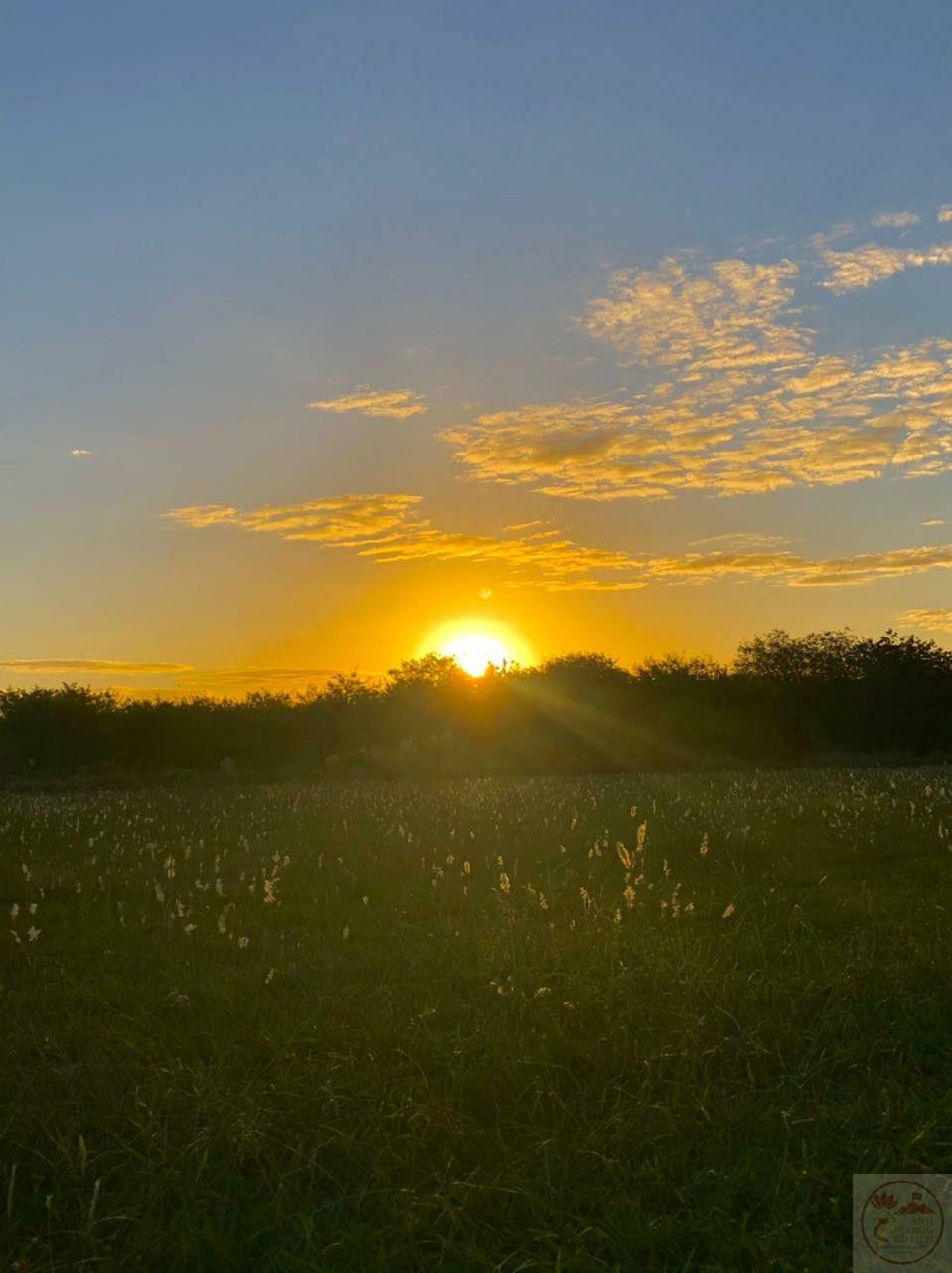 Đôi lúc một chút nhớ nhung lại gợi bao điều thân quen khó quên